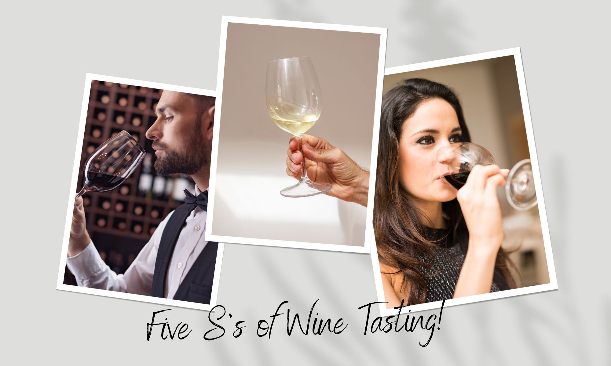The Five S's of Wine Tasting