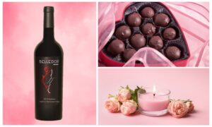 Sip, Savor, and Celebrate: A Valentine's Day with Belledor Vineyards