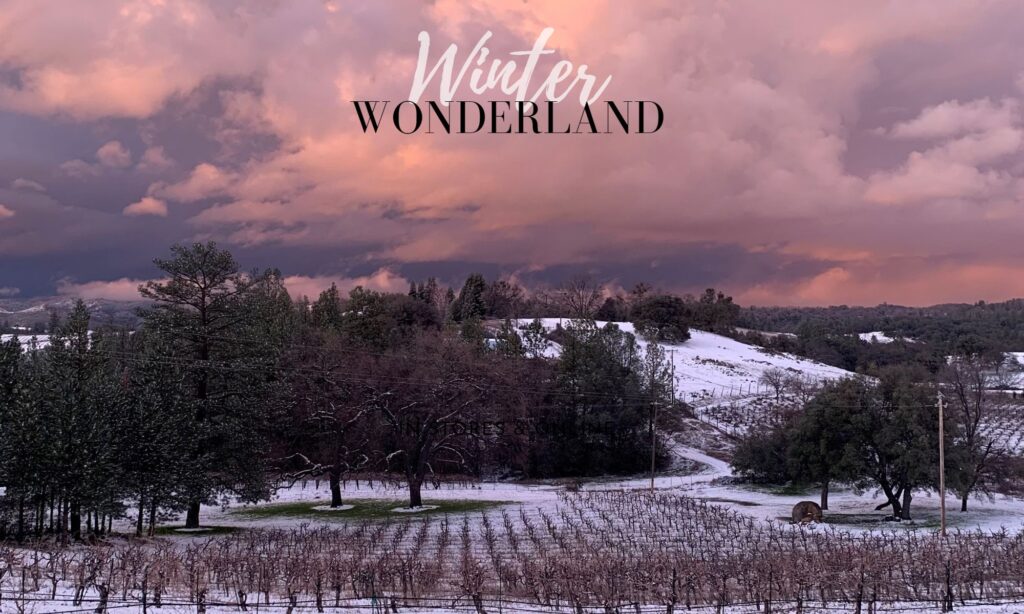 Belledor THe Magical Winter Wonderland