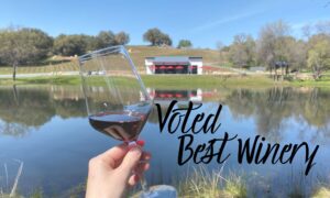 Belledor Vineyards Voted Best Winery In Amador Sacramento Magazine 2022