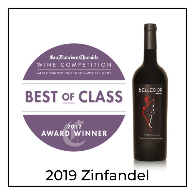 Best of Class 2019 Zinfandel San Francisco Chronicle Wine Competition Awards