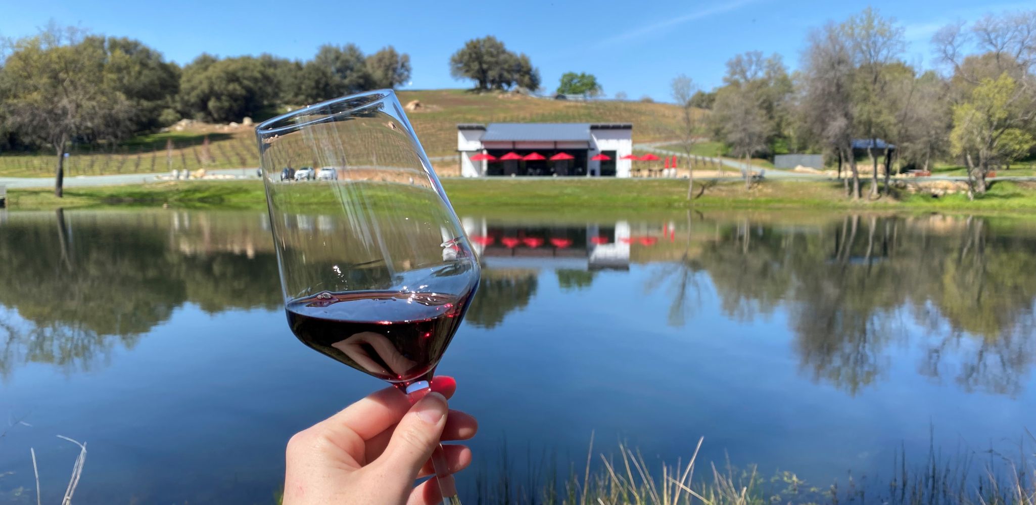 Belledor Vineyards Best Winery in Amador Best Tasting Room in Amador