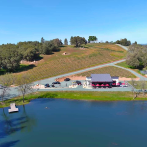 Belledor Vineyards Waterfront Wedding Venue Pond Amador Wine Country Bride and Groom