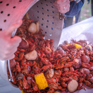 Belledor Vineyards Seafood Boil Amador Winery Tasting Room Best Wine